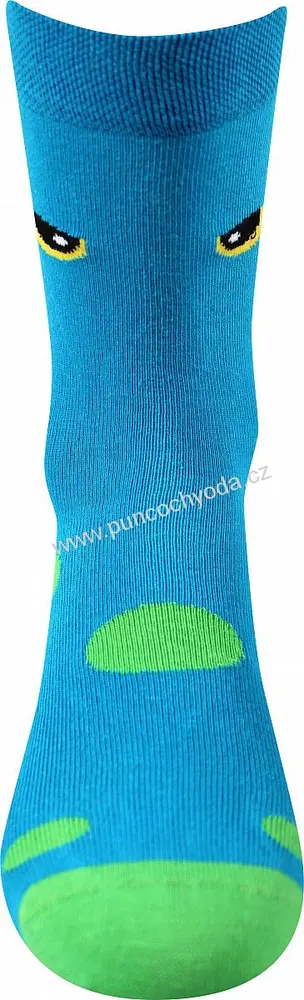 Lonka TWIDORIK dětské obrázkové ponožky (1 pár)